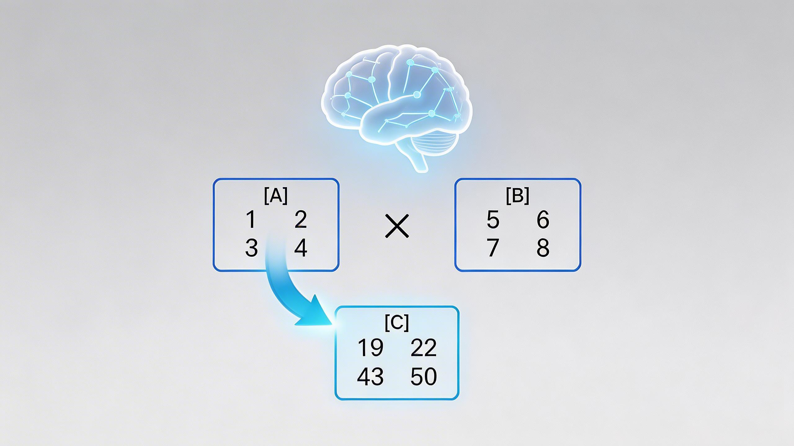 AI如何加速数学算法的发现